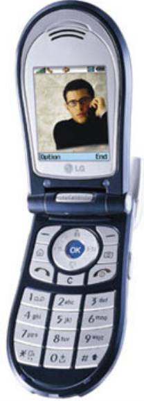 LG L1100