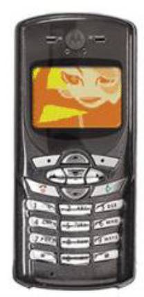 Motorola C450