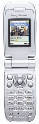 Sony Ericsson Z500