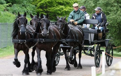 The Queen looks every inch the proud grandmother alongside Lady Louise Windsor, 9th in line to the Throne, and James, Viscount Severn, 8th in line, during a ride in Windsor Great Park over Easter