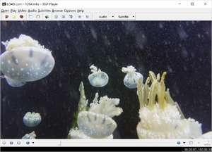 Video Players - Screenshot for 3PG Player