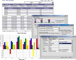 Database Tools - Screenshot for ASP Report Wizard