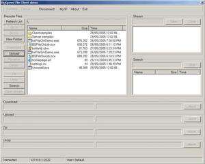 Programming Tools - Screenshot for BIGSPEED Peer-to-Peer SDK