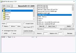 Cataloging Software - Screenshot for Bulk File Renamer