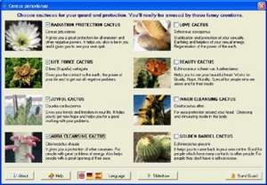 Miscellaneous Utilties - Screenshot for Cactus Emulator