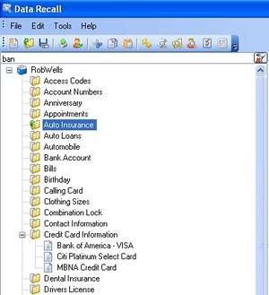 Password Tools - Screenshot for Data Recall - Free Alternative to Info Keep