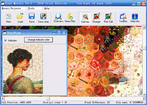 Easy Mosaic Screenshot