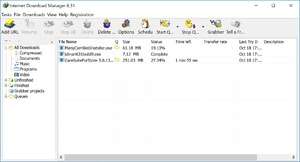 Internet Download Manager Screenshot
