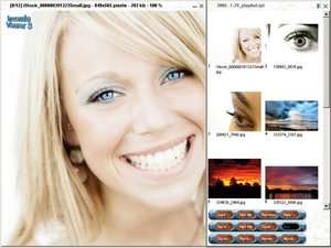 Inzomia viewer Screenshot