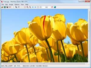 Image Viewers - Screenshot for IrfanView All Plugins