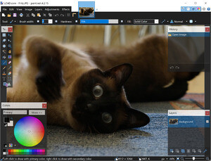 Image Editors - Screenshot for Paint.NET
