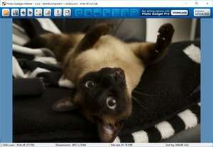 Image Viewers - Screenshot for Photo Gadget Viewer