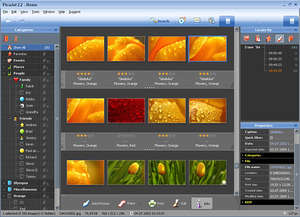 Cataloging Software - Screenshot for PicaJet Photo Organizer