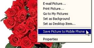Pix2Fone Browser Extension Screenshot