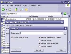 R-Undelete Screenshot