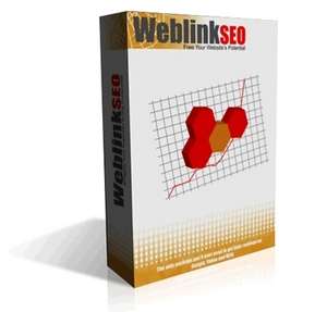 WebLink SEO Software Screenshot